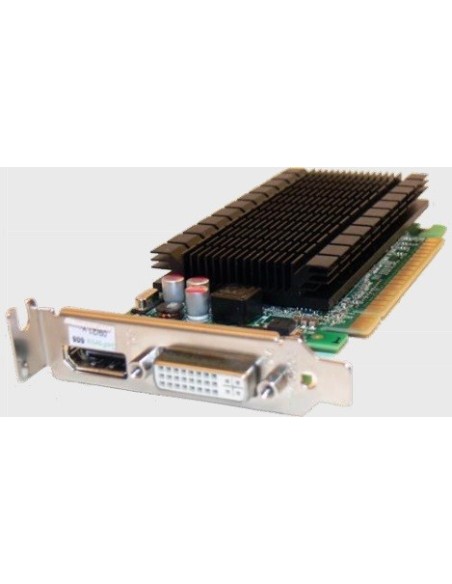 Fujitsu S26361-F3000-L605 scheda video NVIDIA GeForce 605 1 GB