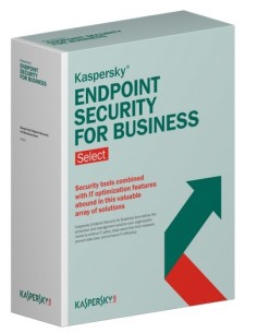Kaspersky Lab Endpoint Security for Business Select, 2500-4999u, 2Y, GOV Licenza governativa (GOV) 2 anno i
