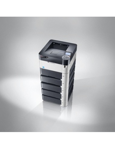 KYOCERA FS-4100DN KL3 1200 x 1200 DPI A4