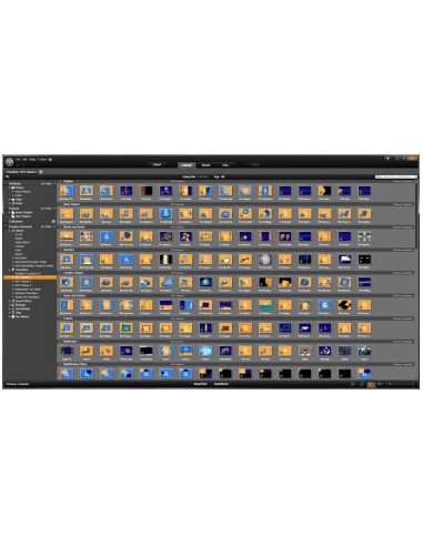 Corel Pinnacle Studio 16 Plus, Win, EDU, 51-250u, ML Istruzione (EDU)