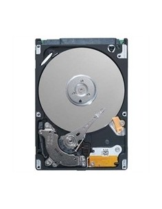 DELL 400-19131 disco rigido interno 3.5" 2000 GB Seriale ATA II