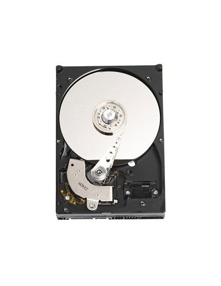 DELL 2TB SATA 3.5" 2000 GB Seriale ATA II