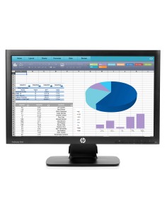 HP Monitor ProDisplay P202 da 20"