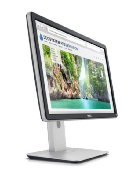 DELL Professional P2014H 49,5 cm (19.5") 1600 x 900 Pixel HD LED Nero