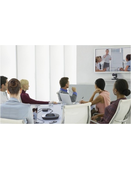 Logitech CC3000e webcam USB 2.0 Nero, Argento