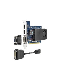 HP NVIDIA GeForce GT630 DP GeForce GT 630 2 GB GDDR3 2
