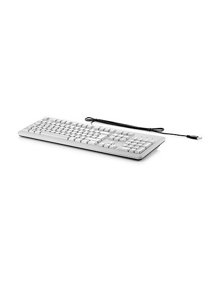 HP USB Grey Keyboard tastiera Grigio