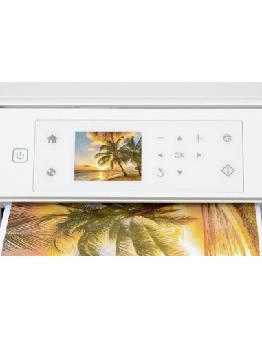 Epson Expression Premium XP-625 Ad inchiostro A4 5760 x 1440 DPI 32 ppm Wi-Fi