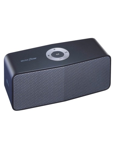 LG NP5550 altoparlante portatile Altoparlante portatile stereo Nero, Argento 10 W