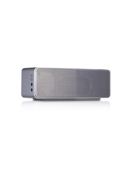 LG NP8350 altoparlante portatile Acciaio inossidabile 20 W