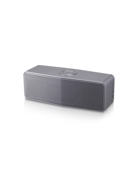 LG NP8350 altoparlante portatile Acciaio inossidabile 20 W