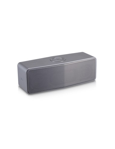 LG NP8350 altoparlante portatile Acciaio inossidabile 20 W