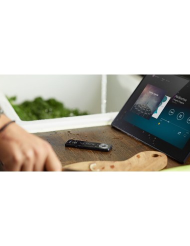 Sony Xperia SGP521E2