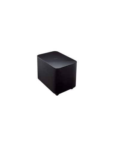 Sony SWF-BR100