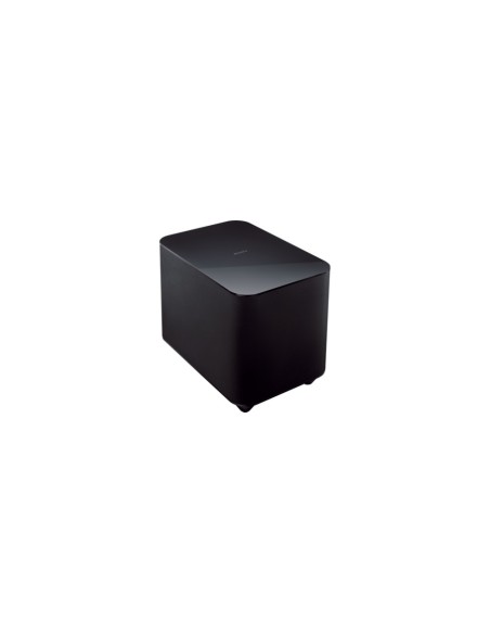 Sony SWF-BR100