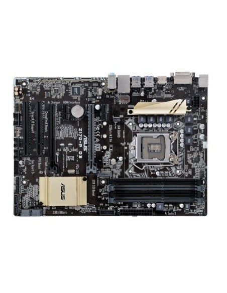 ASUS Z170-P D3 Intel® Z170 LGA 1151 (Presa H4) ATX