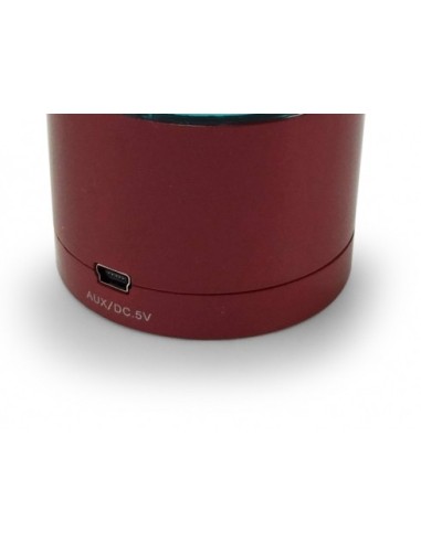 Conceptronic CLLSPK30BTR Altoparlante portatile mono Blu, Marrone