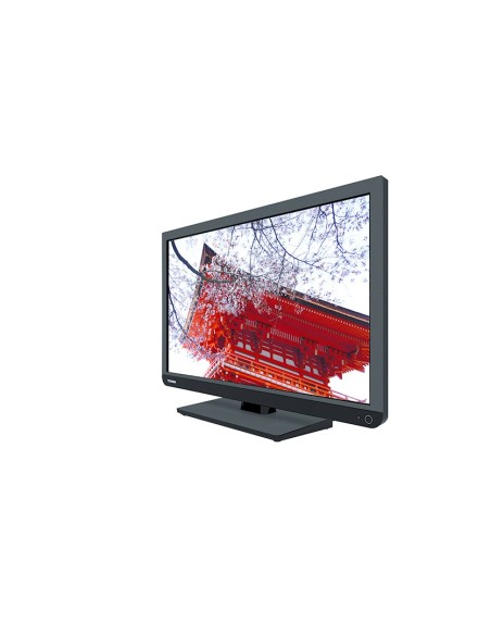 Toshiba 24W1433DG