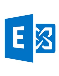Microsoft Exchange Standard CAL 2013, OLP-NL, Gov, UsrCAL Client Access License (CAL)