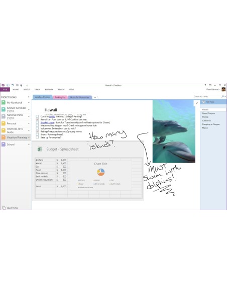 Microsoft Office Home and Student 2013 1 licenza e Inglese