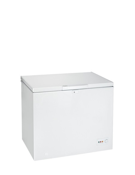 Hotpoint CF1A 250 H frigorifero e congelatore commerciali Libera installazione