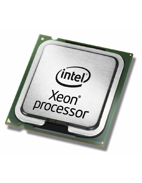 Lenovo Xeon E5-2403 processore 1,8 GHz 10 MB L3