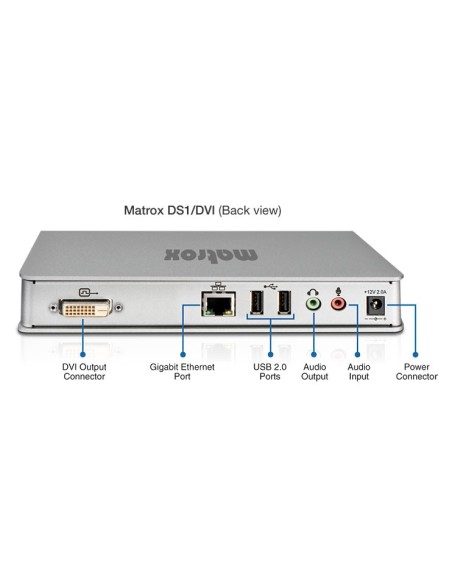 Matrox DS1 DVI Thunderbolt docking station Cablato Argento