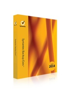Symantec E39FWZU1-BI1ES licenza per software aggiornamento 1 anno i