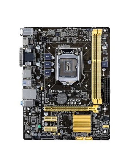 ASUS H81M-A Intel® H81 LGA 1150 (Presa H3) micro ATX