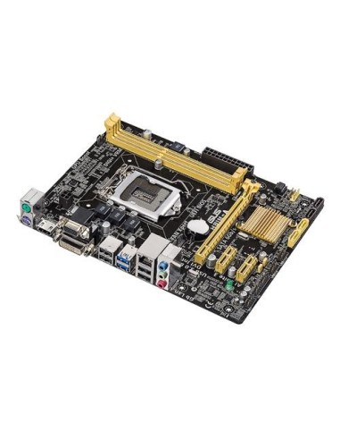 ASUS H81M-A Intel® H81 LGA 1150 (Presa H3) micro ATX