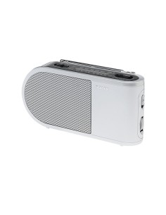 Sony ICF-304