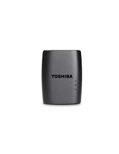 Toshiba HDWW100EKWF1 scheda di rete e adattatore WLAN