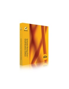 Symantec KQKGWZF1-BI1ES licenza per software aggiornamento 1 anno i