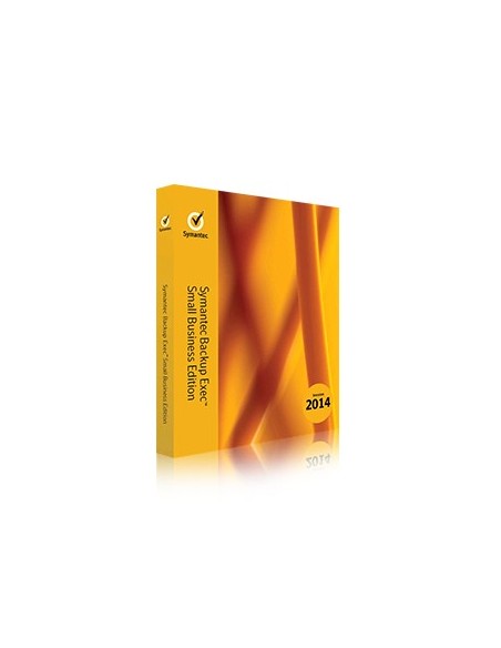 Symantec KQKGWZF1-BI1ES licenza per software aggiornamento 1 anno i
