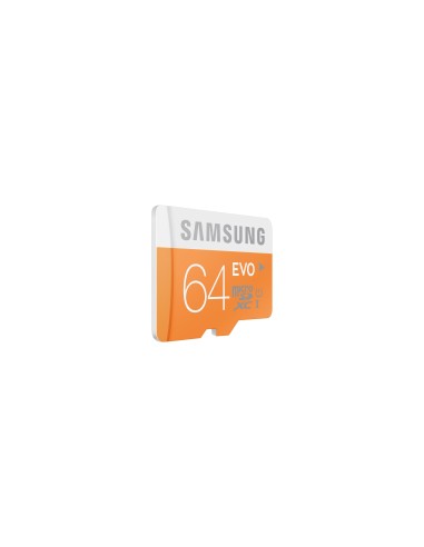 Samsung EVO 64GB MicroSDXC Class 10 UHS Classe 10