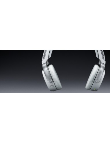 Sony Walkman NWZ-WH303