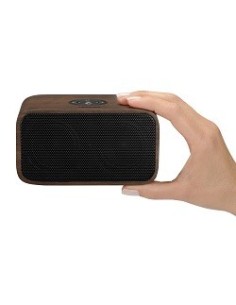 Toshiba TY-WSP54 Altoparlante portatile stereo Nero, Legno 10 W