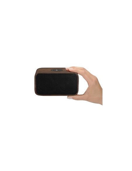Toshiba TY-WSP54 Altoparlante portatile stereo Nero, Legno 10 W
