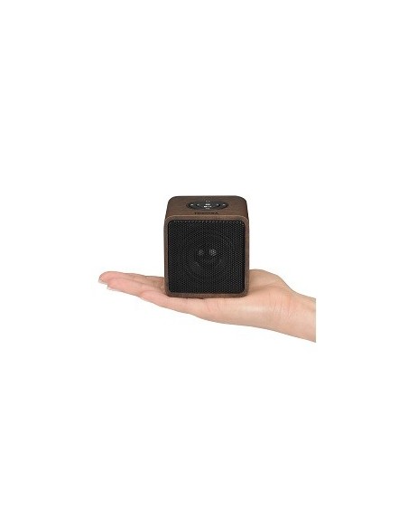 Toshiba TY-WSP52 Altoparlante portatile mono Legno 2 W