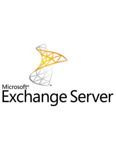 Microsoft Exchange Server 2013 Enterprise CAL, GOL NL, 1 lic UCAL Governativa (GOV) 1 licenza e