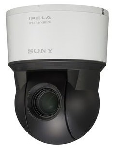 Sony SNCZP550 Interno Cupola 1280 x 720 Pixel Soffitto