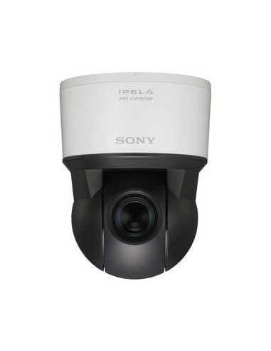 Sony SNCZP550 Interno Cupola 1280 x 720 Pixel Soffitto