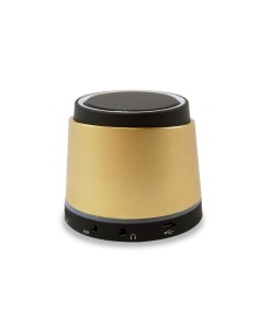 Conceptronic CLLSPKPCARG Oro 2,5 W