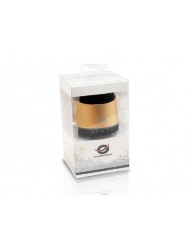 Conceptronic CLLSPKPCARG Oro 2,5 W