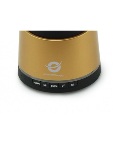 Conceptronic CLLSPKPCARG Oro 2,5 W