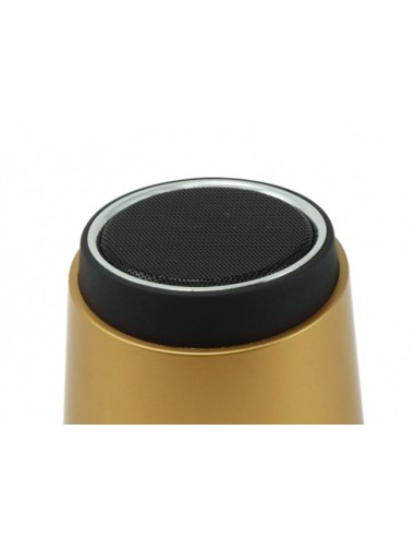 Conceptronic CLLSPKPCARG Oro 2,5 W