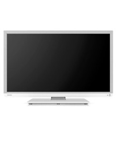 Toshiba 24W1334G