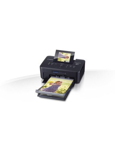 Canon SELPHY CP900 stampante per foto Sublimazione 300 x 300 DPI 4" x 6" (10x15 cm) Wi-Fi