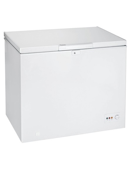 Hotpoint CHNAA 300 M.1 frigorifero e congelatore commerciali Libera installazione