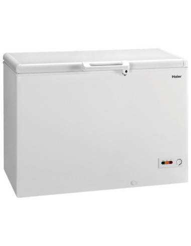 Haier BD-319GAA frigorifero e congelatore commerciali Libera installazione